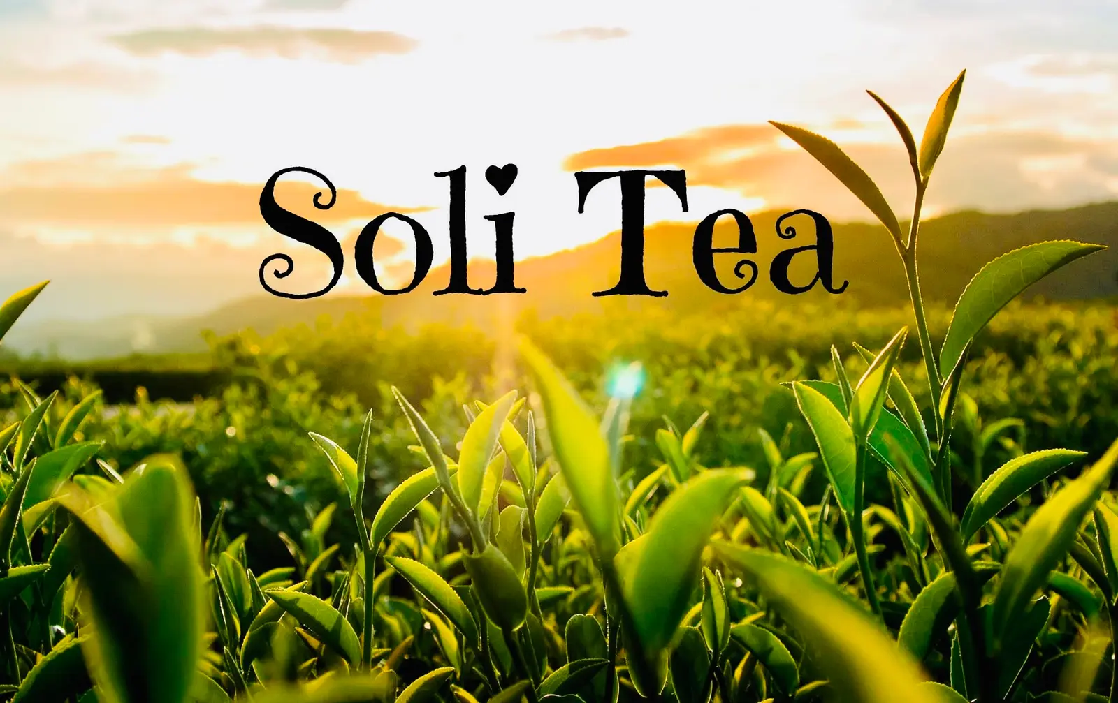 Ảnh bìa Tiệm Trà Soli - Nguyễn Văn Tăng