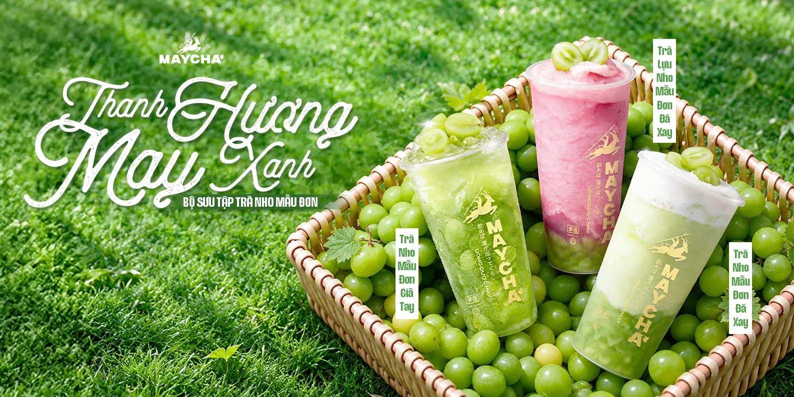 Ảnh bìa Trà Sữa Maycha - 39 Nguyễn Huệ