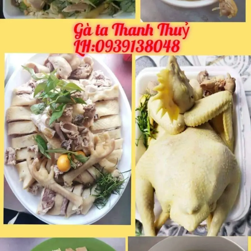 Ảnh bìa Gà Ta Thanh Thuỷ - Huỳnh Tấn Phát