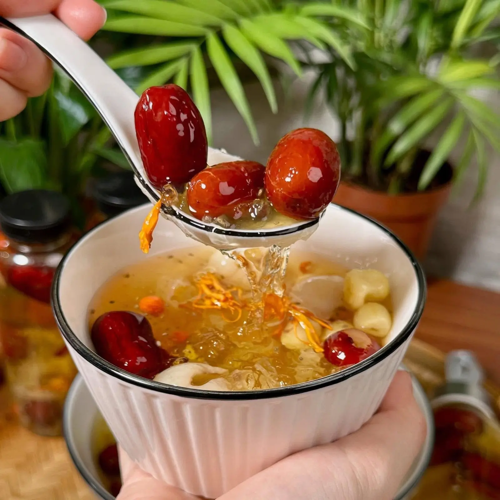 Ảnh bìa Phương Nghi - Yến Chưng Tươi - Dương Đình Hội