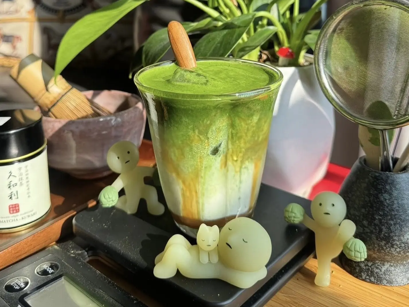 Ảnh bìa Matcha Capital - Trần Trọng Cung