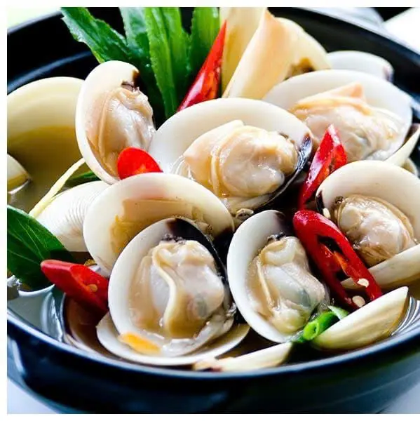 Ảnh bìa Ốc Hoàng Anh - Phan Anh
