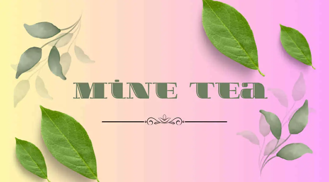 Ảnh bìa Mine Tea - Trà Sữa & Trà Trái Cây - Phan Anh