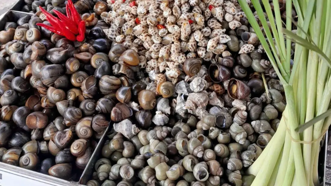 Ảnh bìa Chợ Ốc Hấp - An Dương Vương