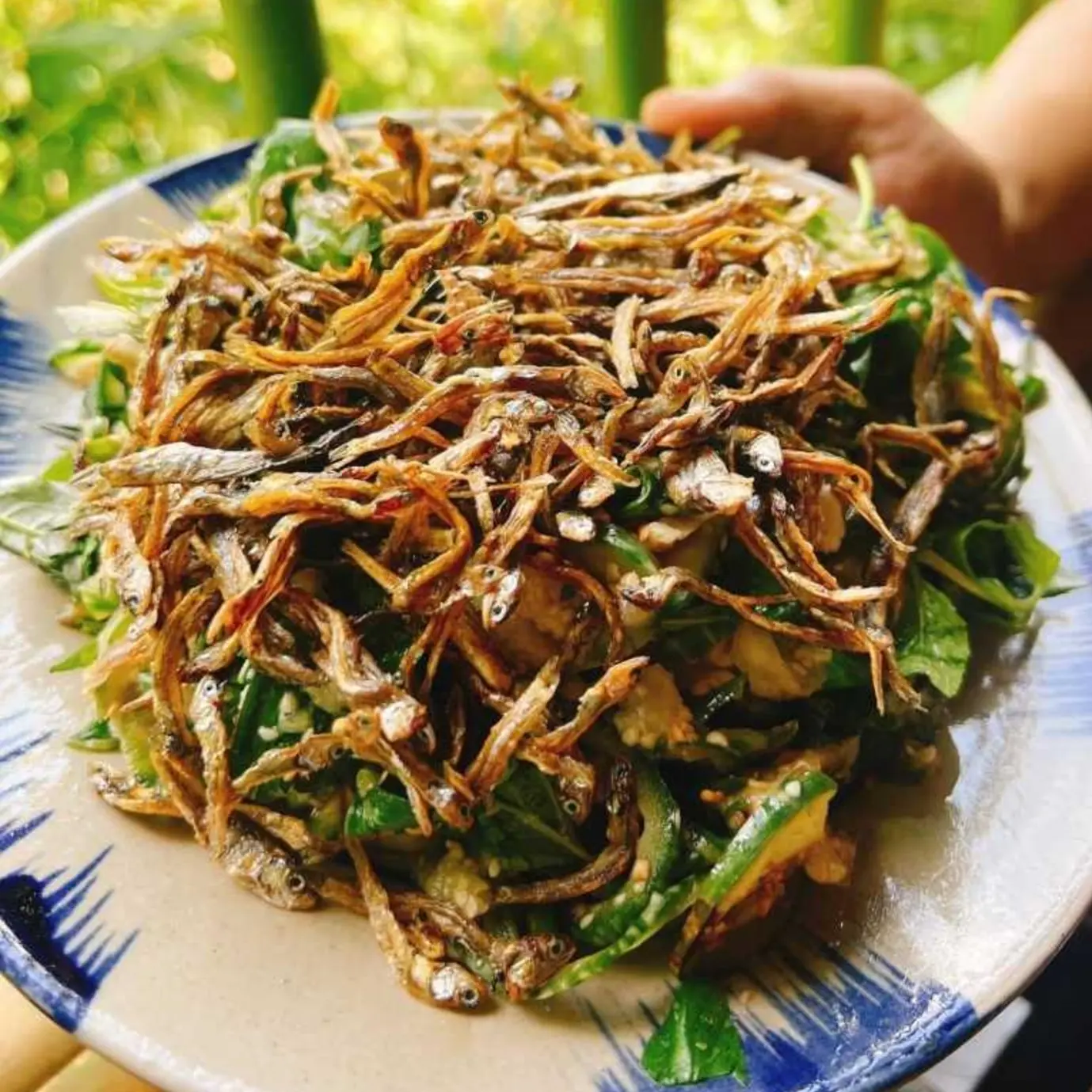 Ảnh bìa Đặc Sản Gia Lai - Nộm Rau Rừng, Cà Đắng Giã Cá Khô & Lá Mì Xào Cà Đắng - Lê Đức Thọ
