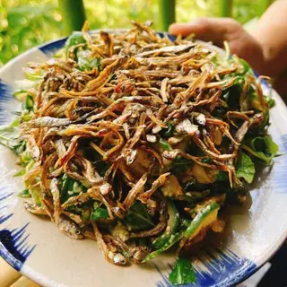Ảnh đại diện Đặc Sản Gia Lai - Nộm Rau Rừng, Cà Đắng Giã Cá Khô & Lá Mì Xào Cà Đắng - Lê Đức Thọ