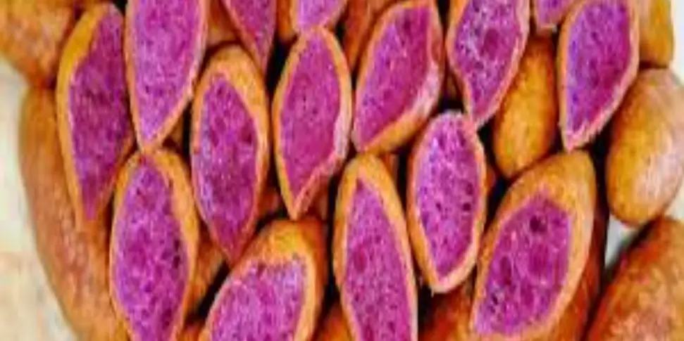 Ảnh bìa Bánh Khoai Mỡ Út Hiếu - Bùi Văn Ngữ