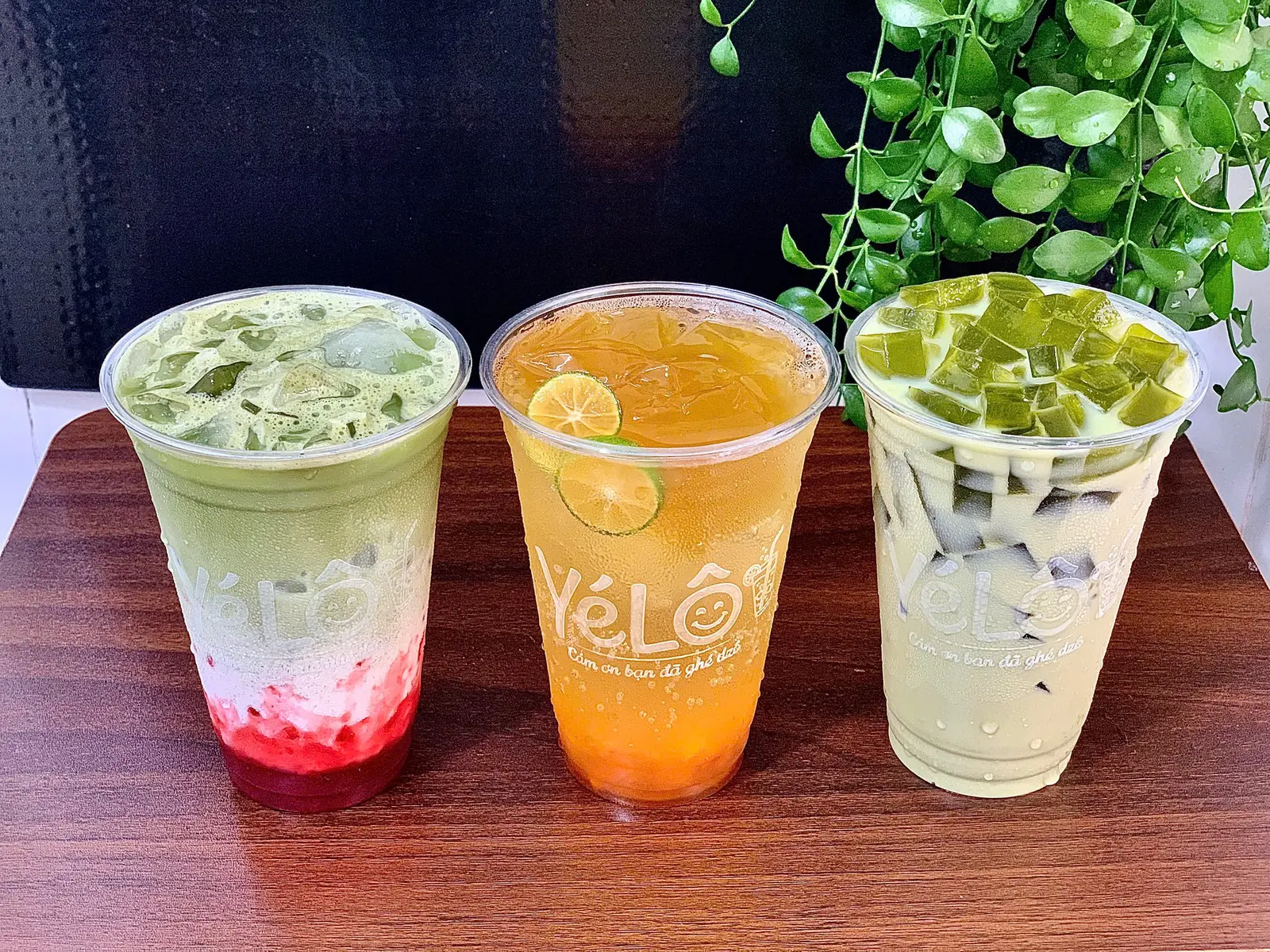 Ảnh bìa YÉLÔ - Trà Sữa, Matcha & Soda - Phạm Văn Chí