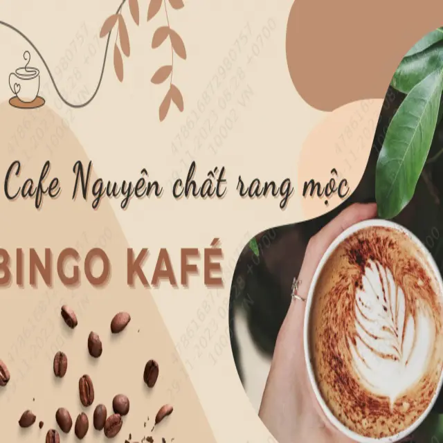 Ảnh bìa Bingo - Tiệm Cafe Muối - Triệu Việt Vương