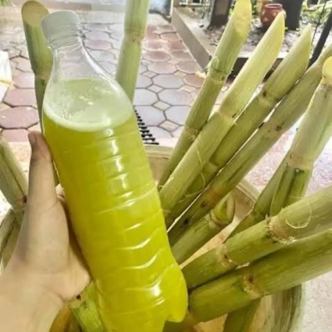 Ảnh bìa Nước Mía Bảo Thy Siêu Ngon - Lê Văn Khương