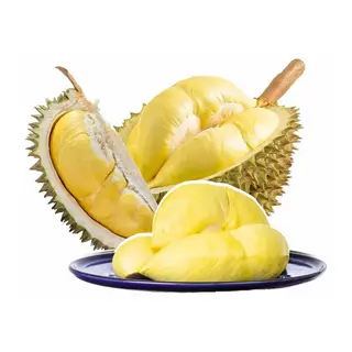 Ảnh đại diện Sầu Riêng Bốn Mùa Sạch - Cách Mạng Tháng 8