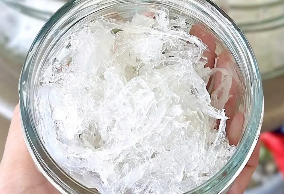 Ảnh bìa Yến Việt Chưng Tươi - SunSol BirdNest - Huỳnh Tấn Phát