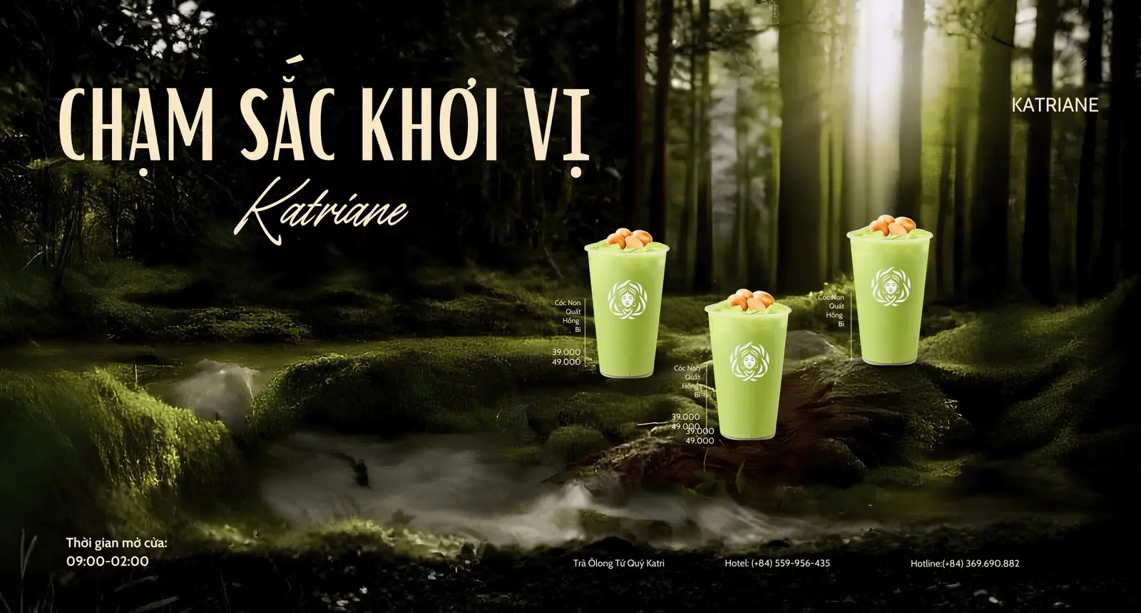 Ảnh bìa Katriane - Trần Quốc Vượng