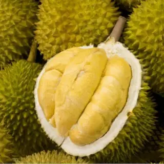 Ảnh đại diện Sầu Riêng Daklak - Quang Trung