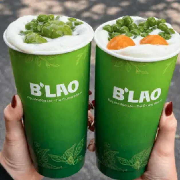 Ảnh bìa B’Lao 51 Trường Sơn - Hoà Hưng - Trường Sơn