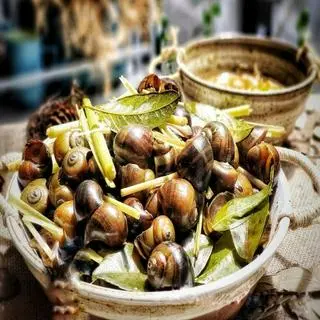 Ảnh đại diện Bông Ốc - Trung Kính