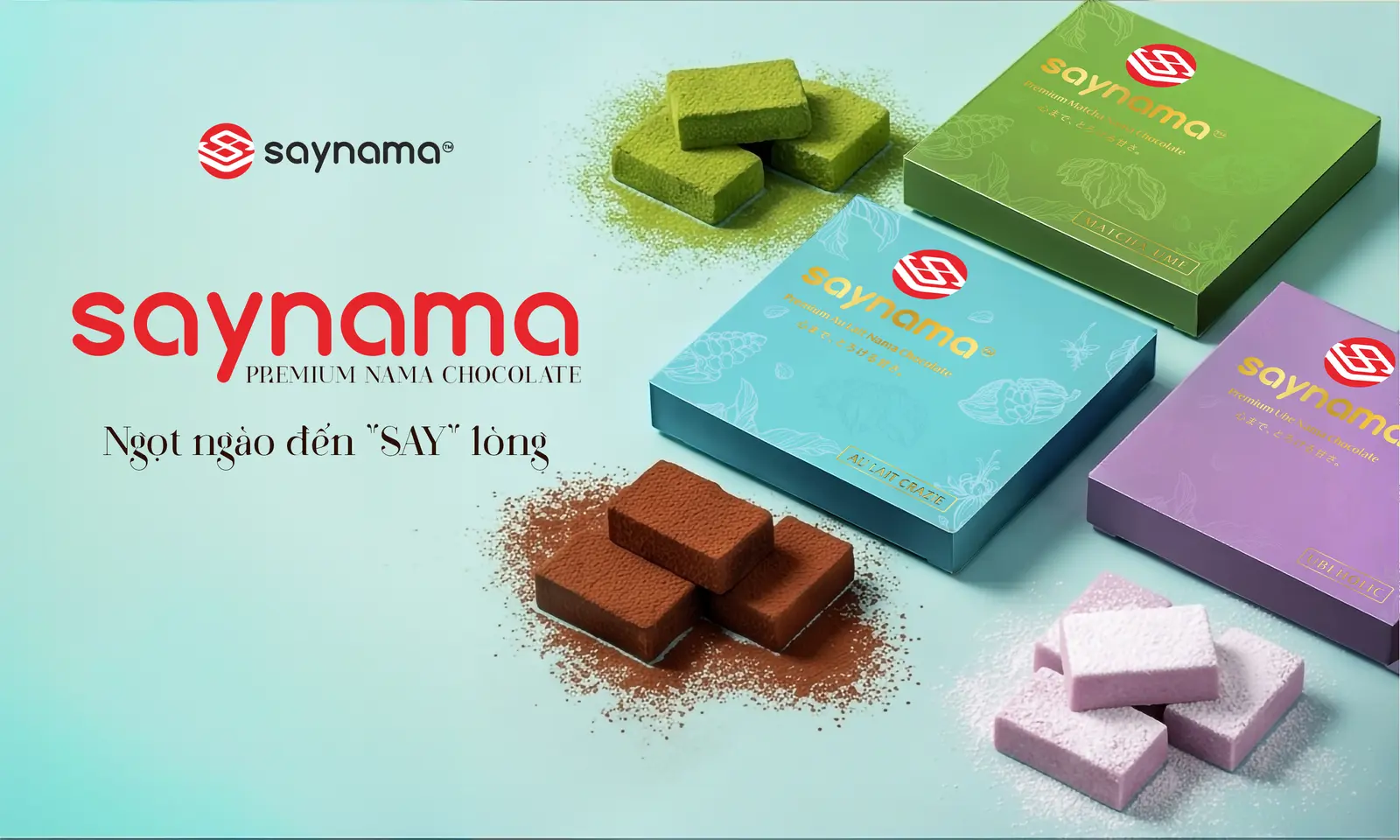 Ảnh bìa Saynama - Lê Quang Định