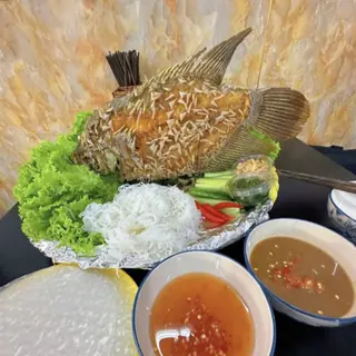 Ảnh đại diện Cá Tai Tượng Chiên Xù 67 - Phan Văn Hớn