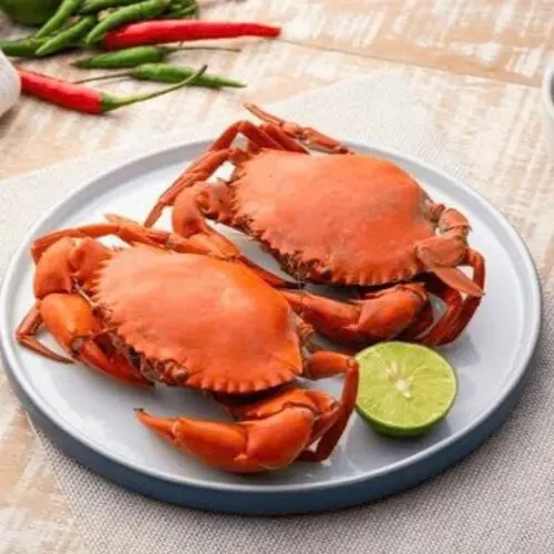 Ảnh bìa Khóm Cua - Phan Huy Ích