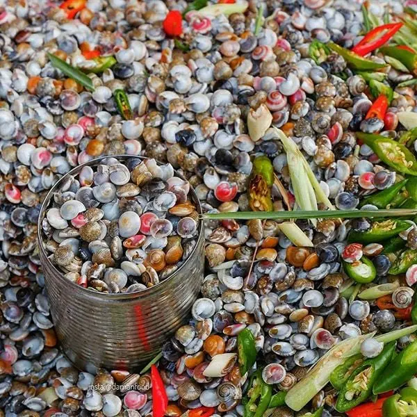 Ảnh bìa Sương Bán Ốc - Ốc Ruốc Miền Trung - Đường D9