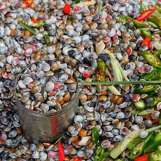 Ảnh đại diện Sương Bán Ốc - Ốc Ruốc Miền Trung - Đường D9