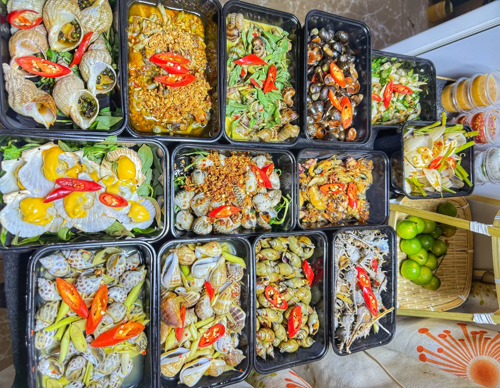 Ảnh bìa Ốc Dừa Vy Nguyễn - Nguyễn Trọng Tuyển