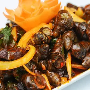 Ảnh bìa Ốc Hút Đà Nẵng - Hương Vị Điện Phương - Bình Giã