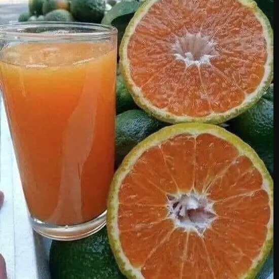 Ảnh bìa Sinh Tố Ngọc Thy - Nguyễn Thị Định 