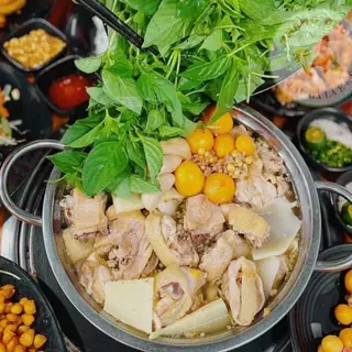 Ảnh đại diện Lẩu Gà Lá É, Lẩu Thái & Lẩu Khổ Qua Rừng Cá Thác Lác - Hồ Thị Kỷ