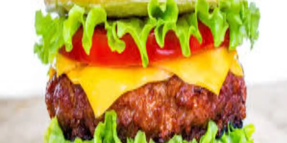 Ảnh bìa HAMBURGER ÔNG TÂY - Hiệp Thành 06