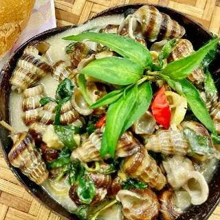 Ảnh đại diện Ốc Thủy Tiên - Bến Vân Đồn