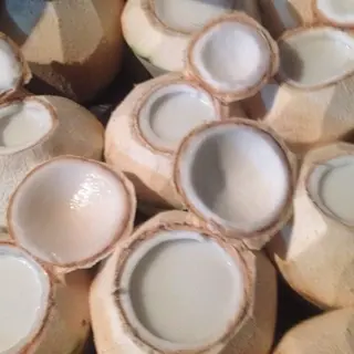 Ảnh đại diện Tiệm Chè Nam Dừa - Tư Đình