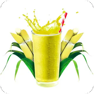 Ảnh đại diện Nước Mía Sầu Riêng - Song Hành