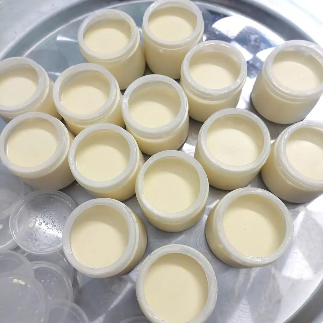 Ảnh bìa MinMon Yogurt - Sữa Chua Nhà Làm - Mã Lò
