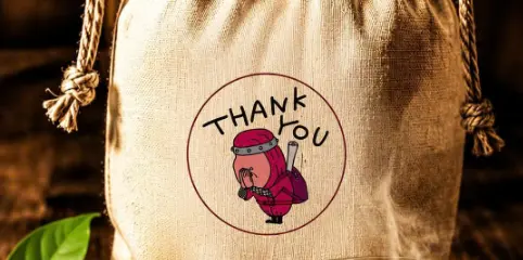 Ảnh bìa THANK YOU - Bánh Ướt, Bánh Tôm & Cà Phê Muối - Nguyễn Đình Chiểu