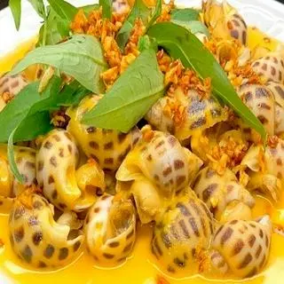 Ảnh đại diện ỐC BÌNH DÂN - Dân Công Hỏa Tuyến