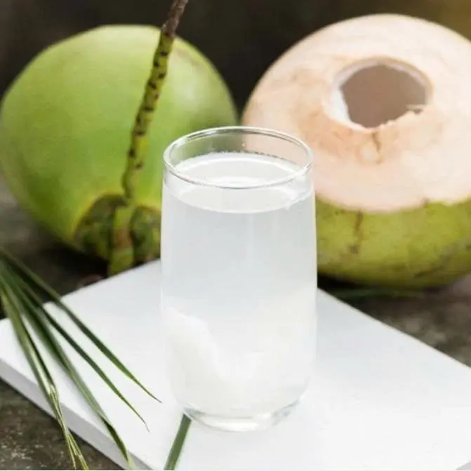 Ảnh bìa Dừa Xiêm Phương Thảo - Nguyễn Văn Cừ