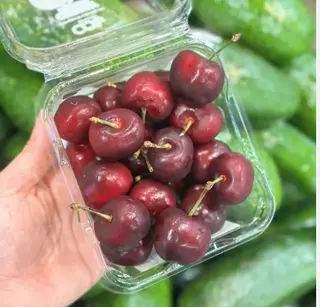 Ảnh đại diện Tiệm Trái Cây - Trần Quốc Thảo