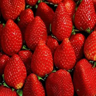 Ảnh đại diện Trái Cây Sạch Theo Mùa - Lý Thái Tổ