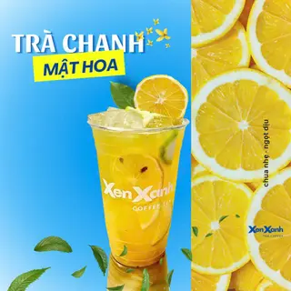 Ảnh đại diện XenXanh Tea.Coffee - Ni Sư Huỳnh Liên