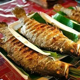 Ảnh đại diện Cá Nướng Tây Bắc A Phương - Cổng Chợ Nghĩa Tân