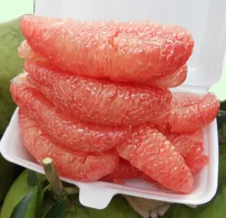 Ảnh đại diện Simba - Trái Cây & Chân Gà - Chung Cư Lavida Plus