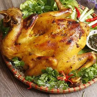 Ảnh đại diện Gà Nướng Bình Mập - Đỗ Xuân Hợp