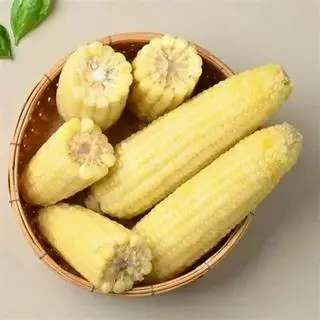 Ảnh đại diện Bắp Quê - Đường D4