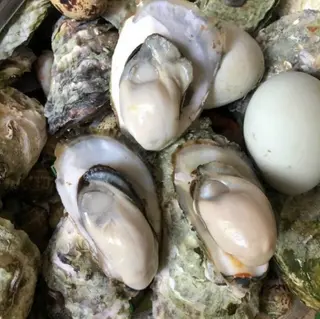 Ảnh đại diện Hàu Nướng Anh Phúc - Phạm Văn Chí