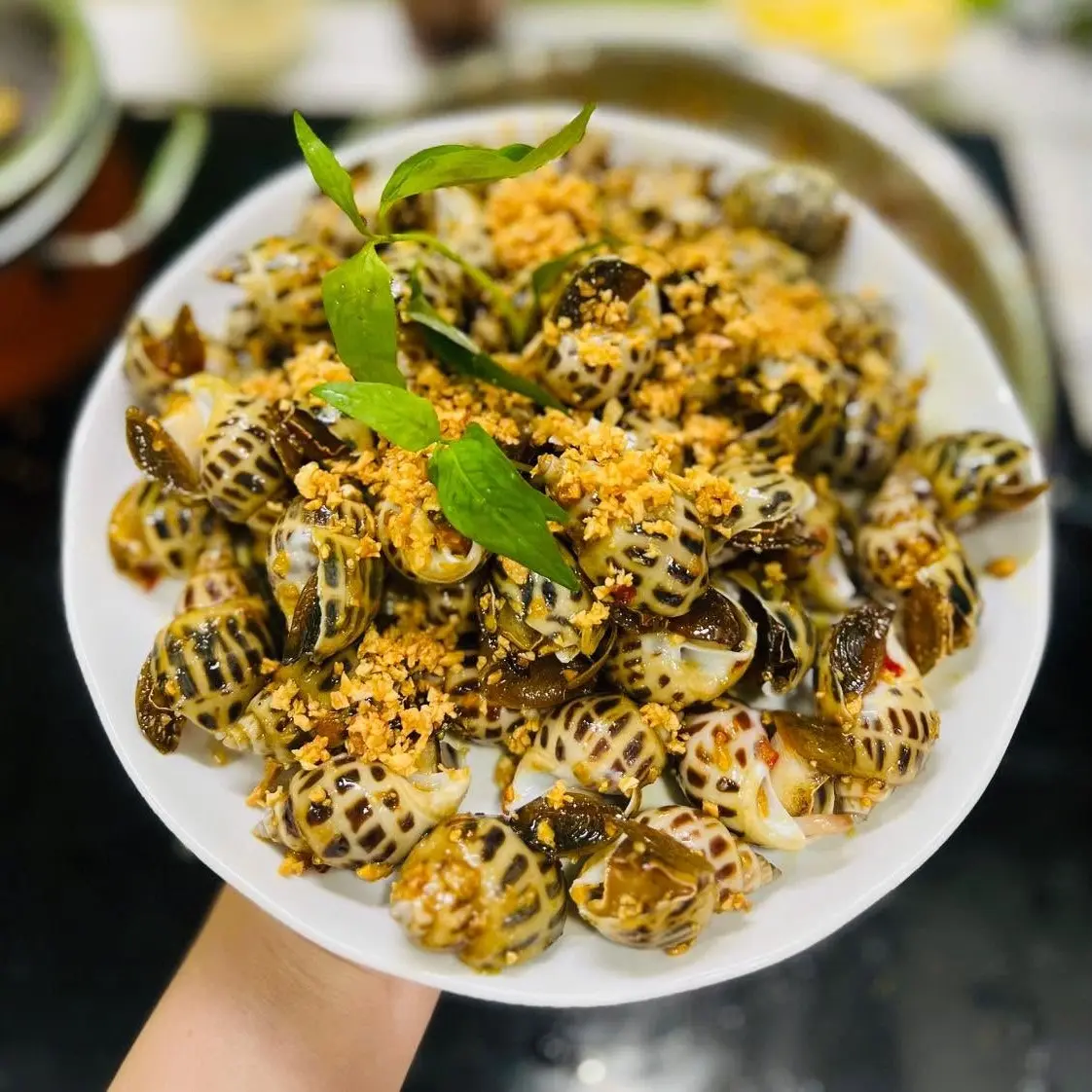 Ảnh bìa Quán Ốc Như (Nhà Truyền Thống) - Vườn Lài