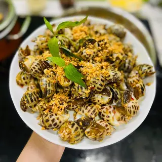 Ảnh đại diện Quán Ốc Như (Nhà Truyền Thống) - Vườn Lài