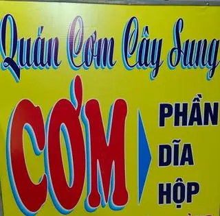 Ảnh đại diện Quán Cơm Trưa Cây Sung - Phan Văn Hớn