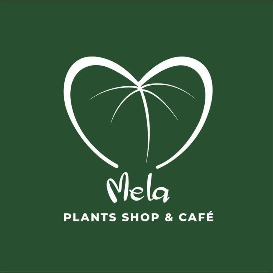 Ảnh bìa Mê Lá Plants Shop & Café - Khu Ngoại Giao Đoàn