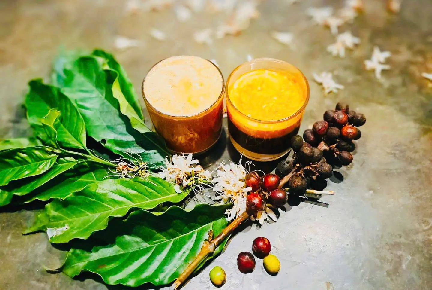 Ảnh bìa Eco Coffee - Cafe Kem Muối & Trà Sữa Nướng - Ecohome Phúc Lợi